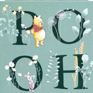Winnie the Pooh Bear & Piglet T-Shirt Size 1X NWT Light Green Top